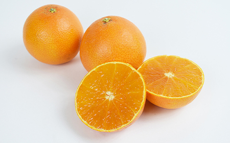 【2025年11月以降発送】「媛一みかん」と「媛一まどんな」の2品種・約5kg【C28-29】【1119673】