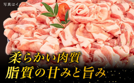 糸島華豚ロース肉しゃぶしゃぶ用1.2kg《糸島》【糸島ミートデリ工房】 [ACA092] 豚肉 豚ロース 赤身肉 小分け しゃぶしゃぶ 鍋 切り落とし 華豚