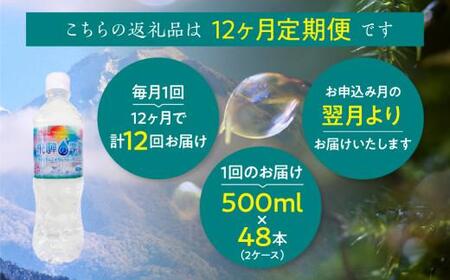 【12回 定期便】天然水 飛騨の雫 500ml×48本 (2ケース)  | 天然水 ミネラルウォーター JS103