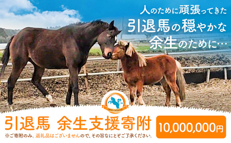 【返礼品なし】引退馬余生支援寄附 10,000,000円 一般社団法人オープンセサミアライブ 熊本県 南阿蘇村 馬 ウマ 支援 競走馬 引退馬 生活支援 動物愛護 保護 返礼品なし 寄附 牧場 オープンセサミ アニマルサンクチュアリ