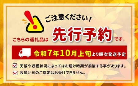 *【2025年先行予約】外川果樹園 訳あり 紅玉 約4.5kg ｜ リンゴ りんご 林檎 果物 フルーツ 果実 果汁 紅玉 こうぎょく わけあり 訳アリ 長野県 松川村