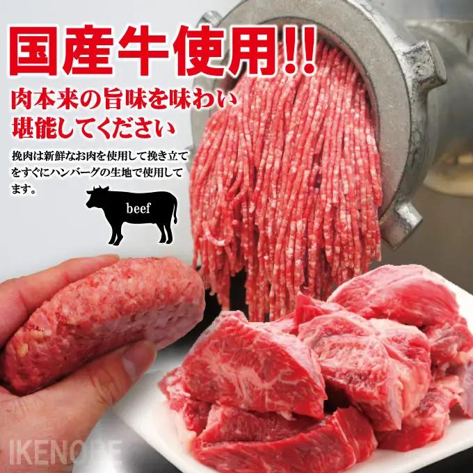 国産牛冷凍生ハンバーグ（130g×16個） 牛 小分け 【ハンバーグ】【ho1746】
