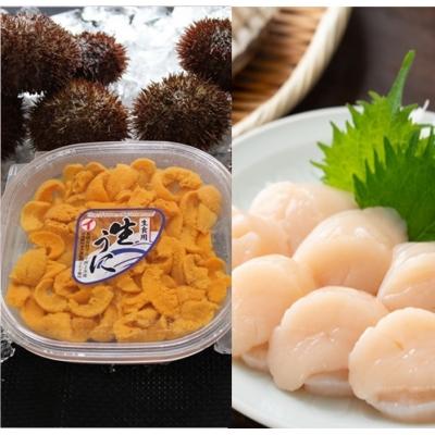 ふるさと納税 根室市 エゾバフンウニ塩水パック1P、お刺身ホタテ貝柱1P[2027年1月中旬以降発送] D-71039