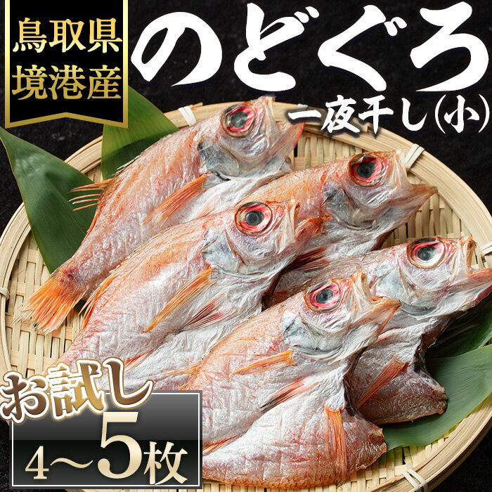 【ふるさと納税】＜数量限定・お試し＞のどぐろ一夜干し(小サイズ・4～5枚) 国産 魚介 干物 干し物 白身 海の幸 のどぐろ 赤ムツ 冷凍 おかず おつまみ 【sm-DG003】【木村鮮魚店】