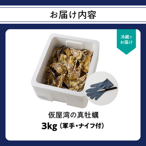 仮屋湾の真牡蠣 3kg【殻付き】（12月配送）【D005-12】