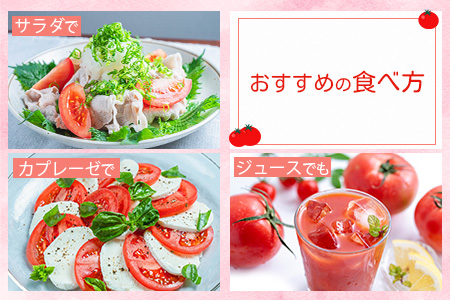 【先行予約】 たにぐちファーム 大玉トマト 4kg 【2024年2月～6月出荷】 Ricotomato とりこになるトマト Ａ-159