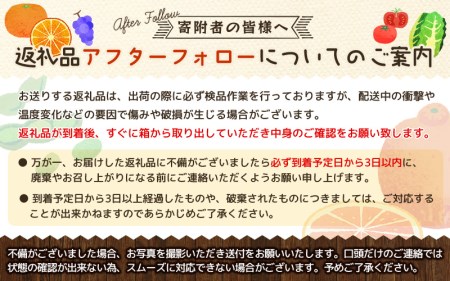 【厳選・濃厚】紀州有田産のはるみ約4kg(2L～3Lサイズおまかせ) ※2025年1月下旬～2025年2月中旬頃より順次発送【tec820】