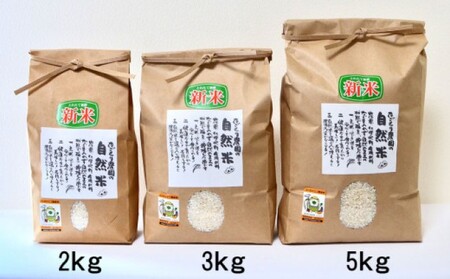 定期便 3ヶ月 米 たごもり農園の自然米 ヒノヒカリ 2kg 小郡産 栽培期間中 農薬不使用 お米 コメ 精米 3回 お楽しみ