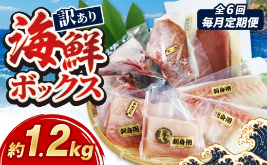 【訳あり】 毎月定期便 全6回 訳あり 海鮮 ボックス 1.2kg セット 冷凍 真空パック おまかせ マグロ まぐろ 鮪 生まぐろ 鯛 たい かんぱち 勘八 シマアジ ヒラマサ 平昌 新鮮 魚 魚介 海鮮 海産物 海 特産品 海の幸 産地直送 国産 三重県 南伊勢 伊勢 志摩 城水産