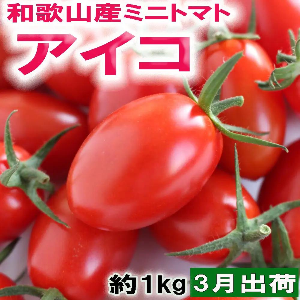 和歌山産ミニトマト「アイコトマト」約1kg（M・Lサイズおまかせ）［2027年3月出荷分］【tec101-3】
