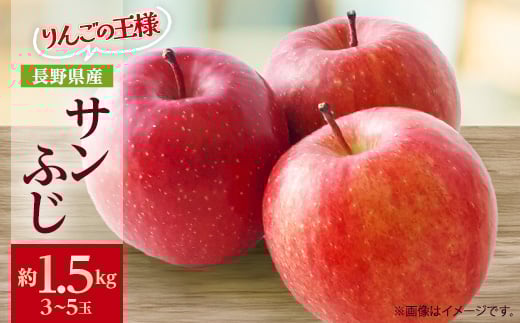 りんごの王様　長野県産 りんご　サンふじ　約1.5kg(3～5玉程度)_ りんご 林檎 果物 くだもの フルーツ サンふじ 長野県 産地直送 送料無料 お取り寄せ ギフト 贈答 プレゼント 信州 【1541942】