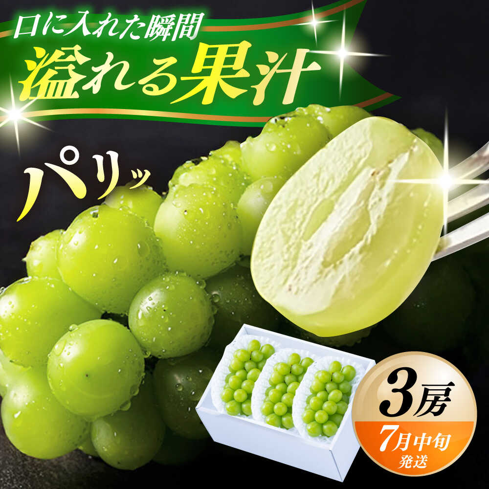 【ふるさと納税】【先行予約・26年7月以降発送】 日田産シャインマスカット3房(約1.5kg)　日田市 / 南国フルーツ株式会社 ブドウ 葡萄 ぶどう【配送不可地域：離島】[ARET003]