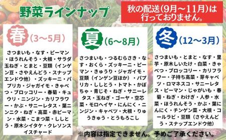 【定期便2回】旬野菜定期便 7品以上 旬野菜定期便 10品 野菜定期便 詰め合わせ定期便 朝どれ野菜定期便 季節 定期便