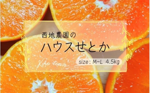 【先行予約】L～Mサイズ 西地農園のハウスせとか 4.5kg【2026年2月中旬より順次発送】 / 手選別 せとか ハウスせとか L M みかん ミカン 蜜柑 柑橘 果物 くだもの フルーツ 産地直送【mnd004B】