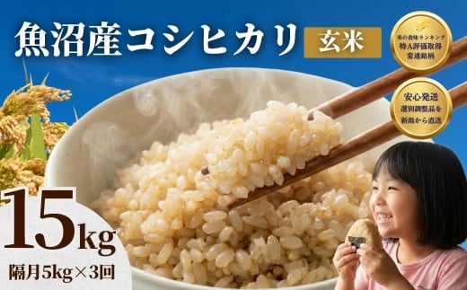 先行予約 魚沼産コシヒカリ 玄米 定期便 5kg×3回【計15kg】 隔月お届け 令和8年産 石抜き済 選別調整済 米太 | 2ヶ月に1回 新潟県産 こしひかり 魚沼玄米 健康 腸活 食物繊維 ダイエット 15キロ 産地直送【0020-KT18DB00-01】