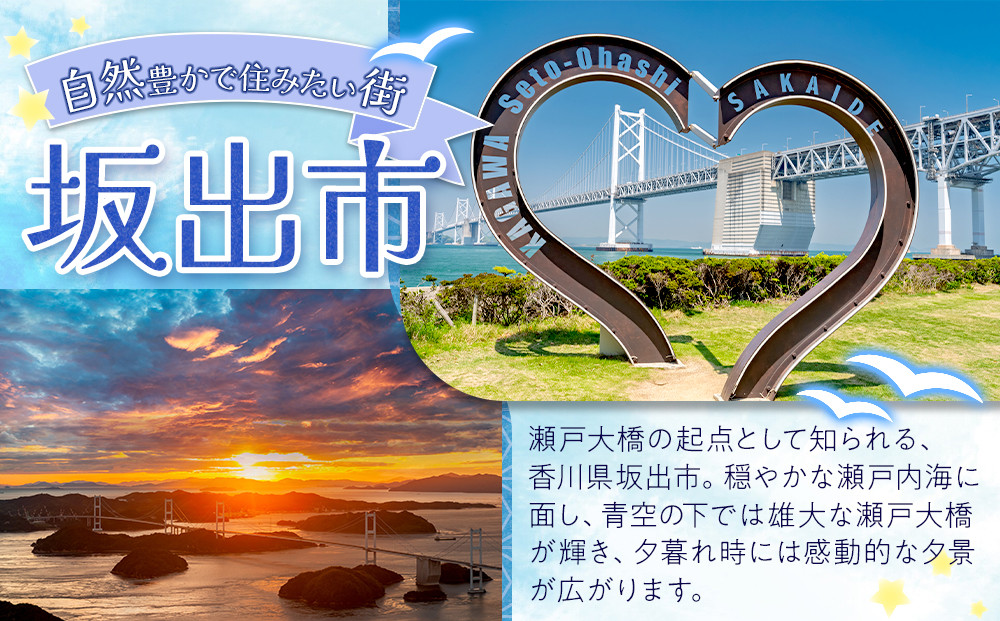 【返礼品なし】坂出市　寄附のみの応援寄附金　3,000円　（返礼品はありません）