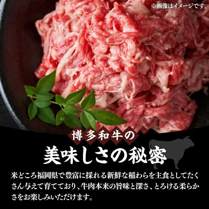 博多和牛 スライス 250g & 切り落とし500g VBB007 牛肉