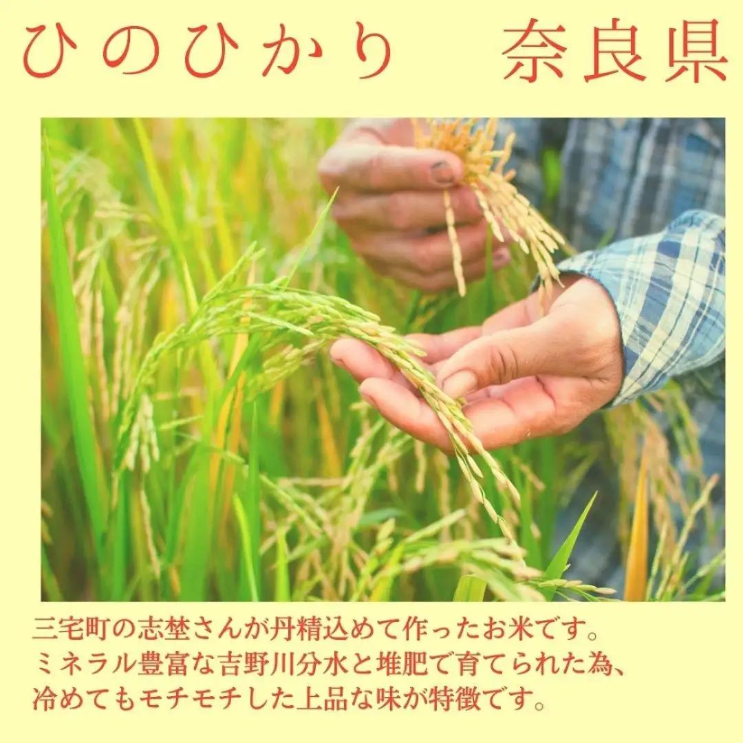 【3回定期便】ひのひかり 白米5kg×3回 全15kg 奈良県 三宅町 ヒノヒカリ 志埜米穀店