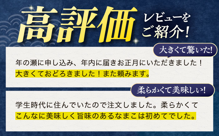 【先行予約】【数量限定】川棚 なまこ 約500g ※2024年12月中旬以降発送【森水産】[OAI002] / 大村湾なまこ 高級なまこ 新鮮なまこ ナマコ おつまみ 海鮮 魚介 新鮮魚介類 正月 産