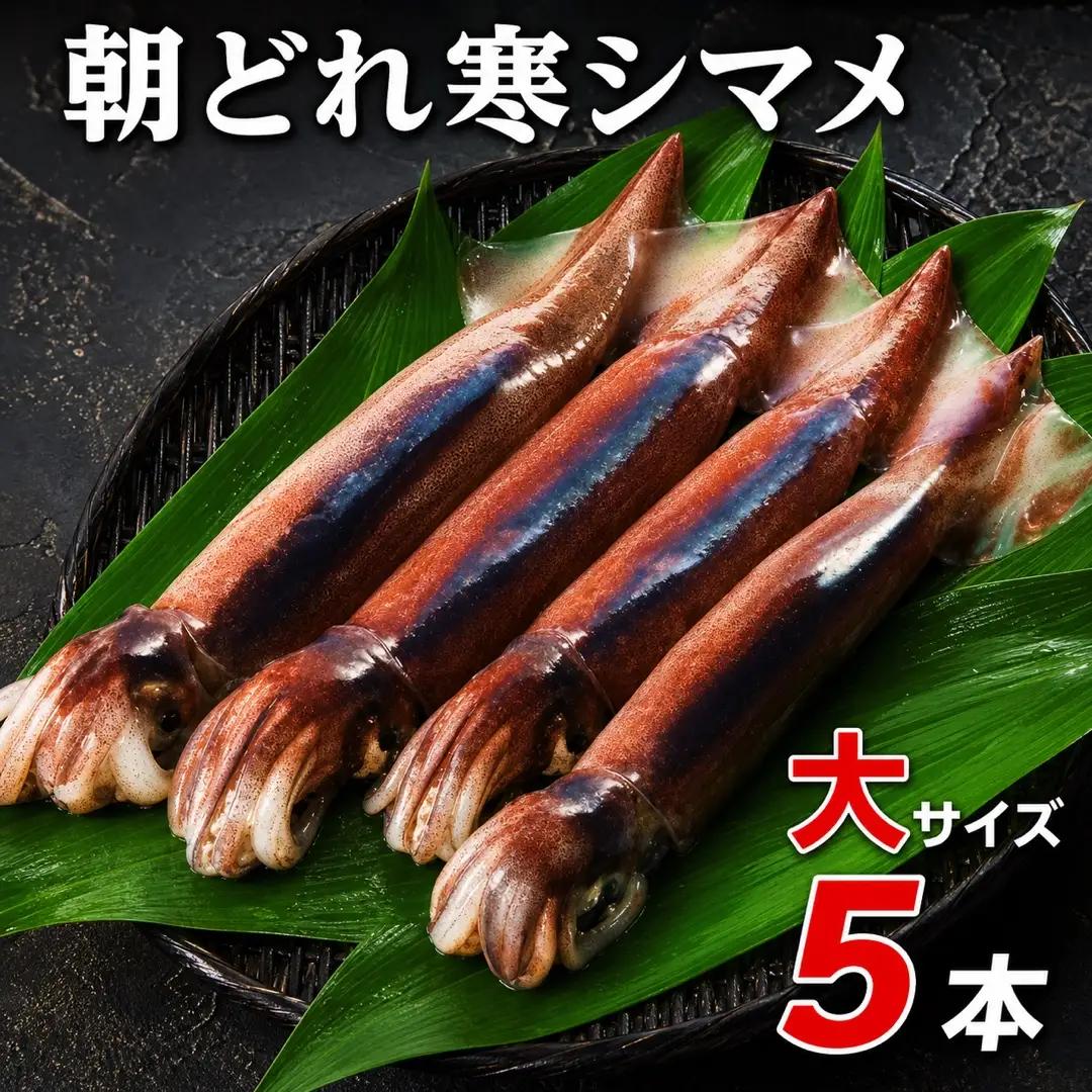 スルメイカ 250-300g×5 イカ