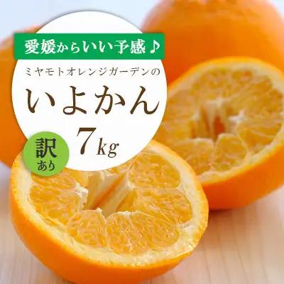 【先行受付】愛媛から「いい予感」♪ジューシー果肉 いよかん7kg【訳あり】【C25-186】【1608865】 YWTAP127