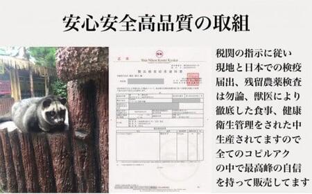 最高級コーヒー コピルアク 100g【粗挽き（ネルドリップ）】