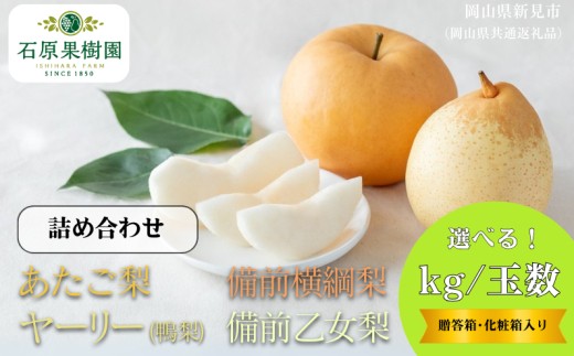 
                  容量・kg数選べる！詰め合わせ あたご梨＆ヤーリー(鴨梨) / 備前横綱梨＆備前乙女梨 【先行予約 2026年11月中旬から順次発送】
                
