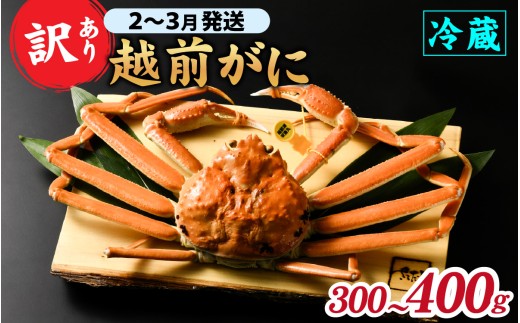 【先行予約】【訳あり】朝茹で越前がに 300g〜400g（足折れ）2月～3月発送「2月上旬より順次発送」[B-065039]  / 福井県 福井 オス 雄 ズワイガニ ボイル 冷蔵 越前ガニ 越前がに 越前カニ ずわいがに ずわい蟹 かに カニ 蟹 茹で すがた 姿 わけあり 訳アリ
