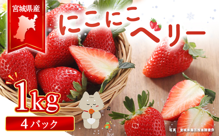 宮城県産いちご「にこにこベリー」約1kg（250ｇ×4）【58002】