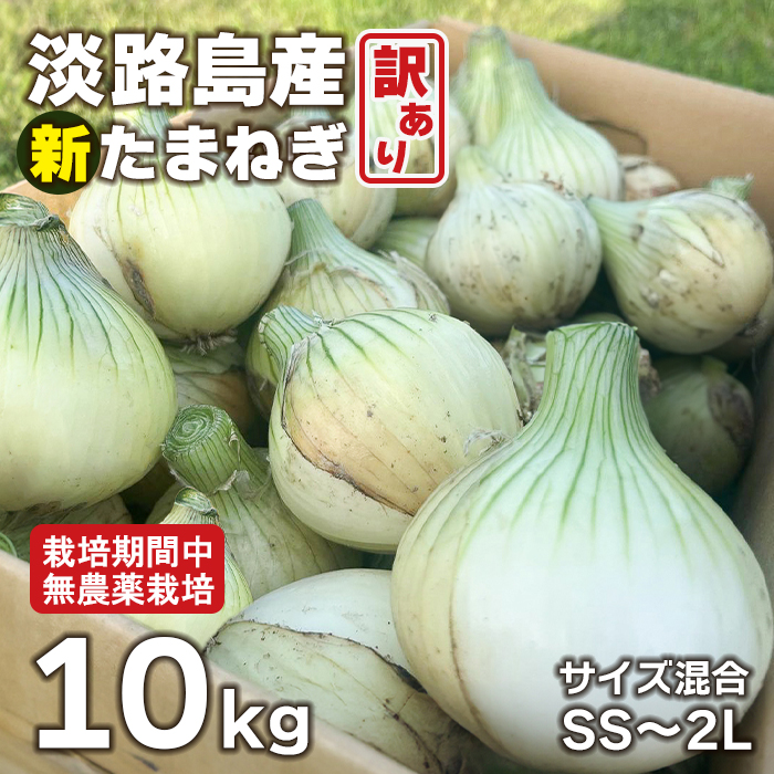 淡路島産 新玉ねぎ 10kg【栽培期間中、無農薬栽培】【訳あ