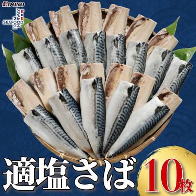 ふるさと納税 銚子市 適塩さば 10枚