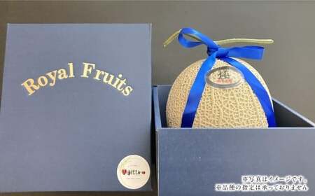 『まるで果物の王様！贅沢メロン』 2玉セット  1箱 熊本県産  【2026年1月下旬発送開始】フルーツ くだもの 果物 メロン 果実 果肉 おやつ 国産