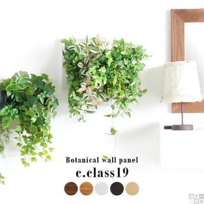 ふるさと納税 名古屋市 Botanical c.class 19　ホワイトウッド