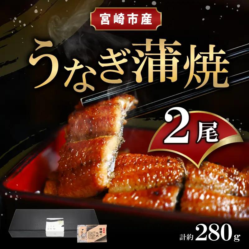 うなぎ 蒲焼 うなぎ[国産 2尾 280g]