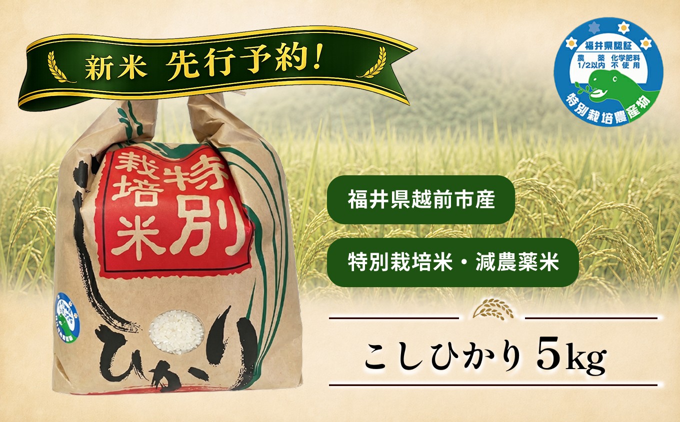 
                  【新米先行予約！】コシヒカリ 5kg 令和8年度産 福井県越前市産 （福井県特別栽培米）
                