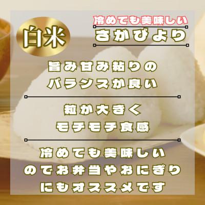 ふるさと納税 鳥栖市 【毎月定期便】さがびより白米3kg(鳥栖市)全3回 |  | 01