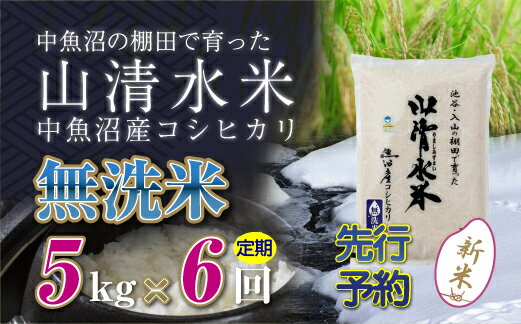 【ふるさと納税】【定期便／全6回】無洗米5kg　新潟県魚沼産コシヒカリ「山清水米」十日町市 米　お届け：寄附入金確認後、順次発送します。