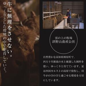 低温でも脂身がとろける土佐あかうし焼肉用カルビ　200g　牛肉 和牛 国産 BBQ オレイン酸 高知県産