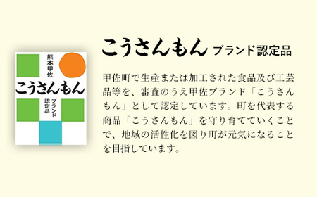 【甲佐ブランド】　ニラ味ラーメンセット　【こうさんもん認定商品】- ご当地ラーメン インスタントラーメン とんこつラーメン 豚骨ラーメン 練り込み麺 特産品 ニラ にら 煮込むだけ おすすめ 熊本県 