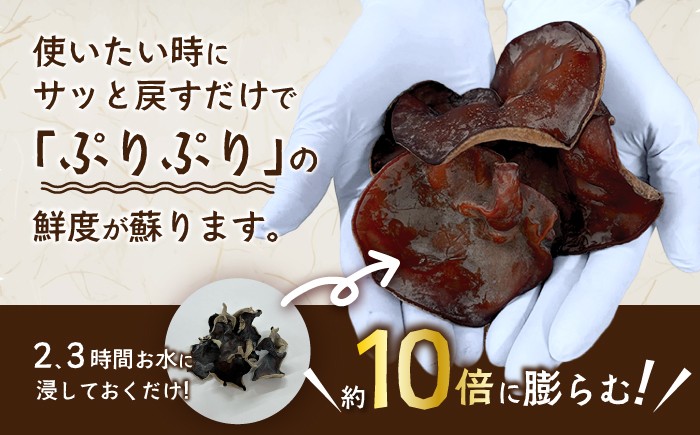 きくらげ キクラゲ 国産 産地直送 産直 肉厚 乾燥 健康