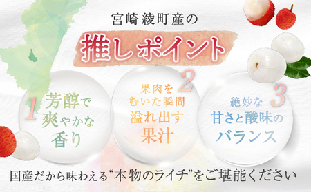 綾生ライチ（化粧箱）