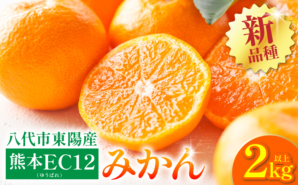 【先行予約】 八代市 東陽産 EC12みかん 2kg以上入り(8玉～20玉)  柑橘 ミカン くだもの 果物 フルーツ デザート 【2025年11月下旬より順次発送】
