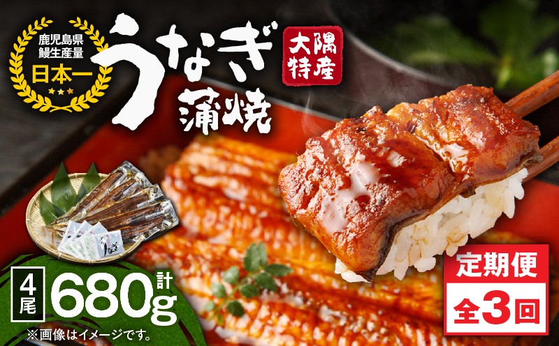 
            2485 【定期3回】大隅特産うなぎ蒲焼4尾（680g）【国産】　KN060-T09
          