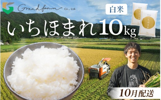 【先行予約】令和8年産 新米 いちほまれ 白米 10kg (5kg×2袋)【2026年10月発送】精米 福井県 美浜町産 白米 こめ コメ お米 おこめ 5キロ 10キロ おすすめ [m46-c004_10]