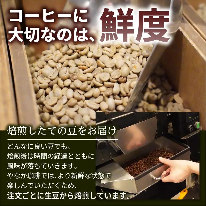 【YANAKA COFFEE】 亀戸ブレンド　500g　コーヒー豆（粉・中挽き）【kt071-002】ｺｰﾋｰ