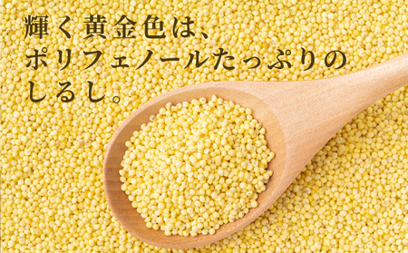 沖縄県波照間島産　日本最南端の島から贈る『もちきび』400g×2袋　とんちぇ農園（農薬・化学肥料不使用）【もちきび 波照間島 沖縄 無農薬 農薬不使用 国産 雑穀】