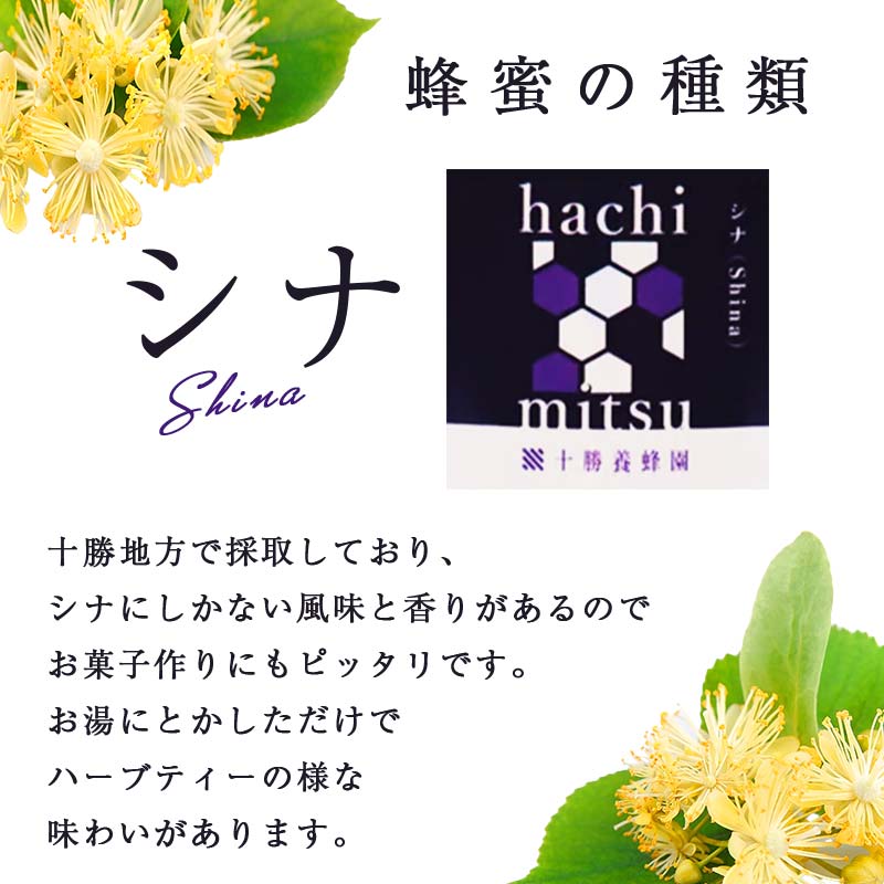 【北のハイグレード2024】シナ(菩提樹)蜂蜜1000g×1 F6S-162