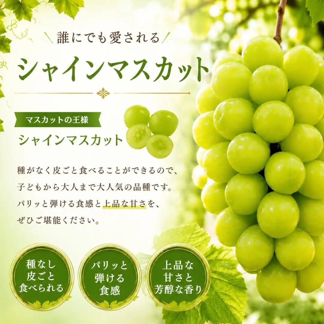 【鬼のぶどう】大房シャインマスカット1房 | ブドウ 豊後高田市