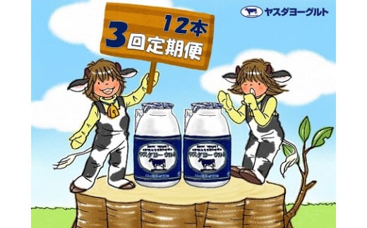 【3ヶ月定期便】ヤスダヨーグルト 150g×12本×3回 小ボトル 無添加 搾りたて こだわり生乳 濃厚 飲むヨーグルト のむよーぐると 1B02019