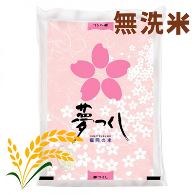 【令和7年産】福岡県産米食べ比べ＜無洗米＞「夢つくし」と「元気つくし」セット計10kg 宇美町
